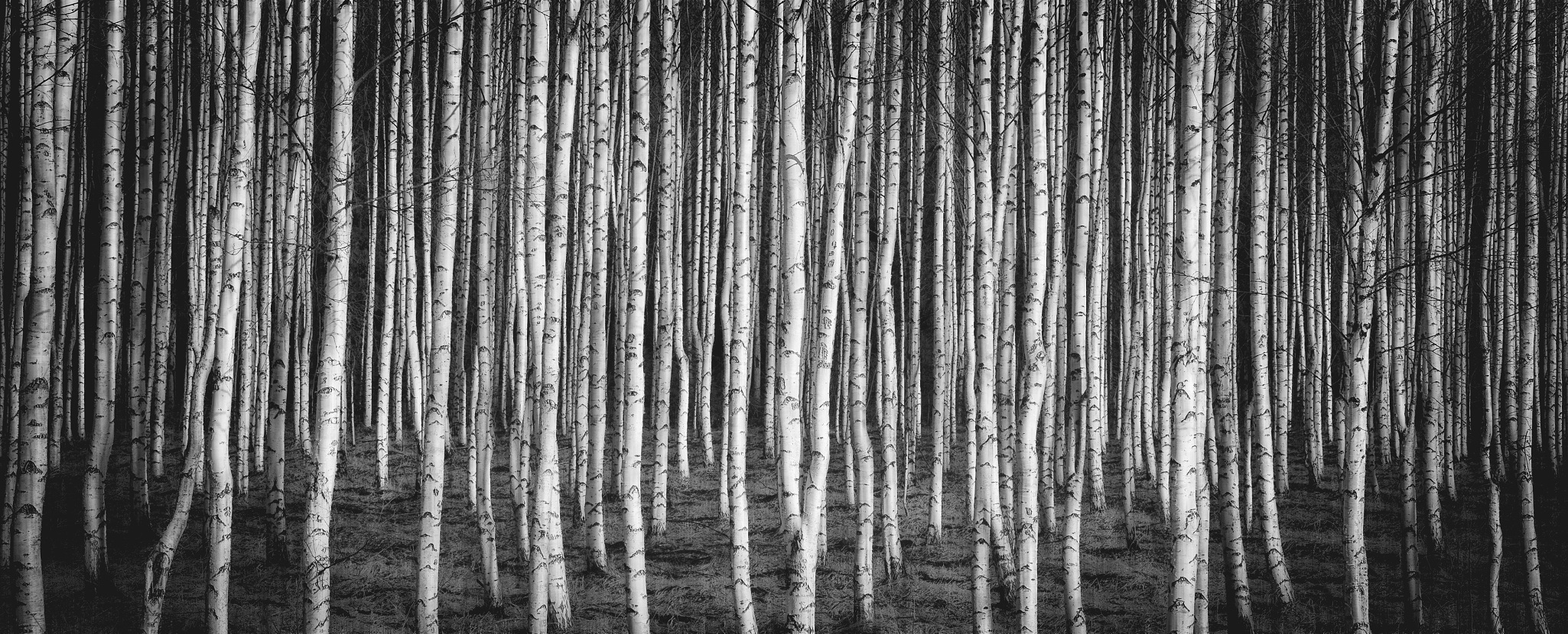 stuart.wales